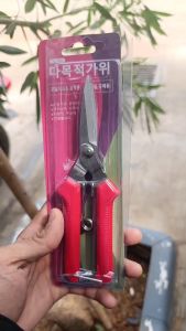 Pruning Shears Gunting Dahan Bunga Ranting Stek Alat Potong Dahan Garden Scissors Gunting Taman ABT|MK017