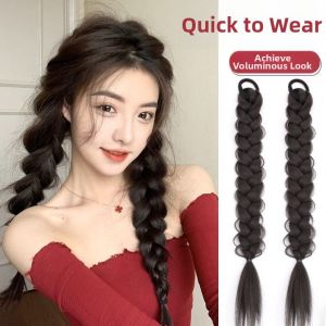 FENGFULUSHAN | Y2k Style Spicy Girl Double Tail Hair Braid