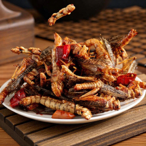 FANZUZHEN | Fresh Fried Crispy Locust Snacks