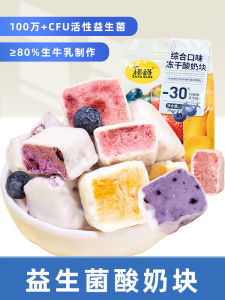 Freeze Dried Probiotic Yogurt Squares with Strawberry and Blueberry