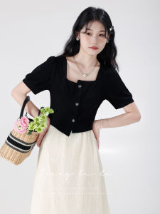 New Chinese Style Gentle A-Line Dress Jennifer Diary Square Collar Fake Two-Piece Womens Spring Summer Soft A-Line Dress