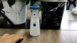 Portable Nebulizer For Inhaler Ultrasonic Spray Nebulizer Machine For Kids And Adults