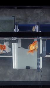 ชุดกรองแขวนระบบกรองชีวภาพ 16-20 นิ้ว ตู้ปลา