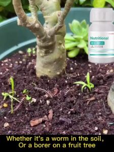 No pests for 10 years Plant Insect Resistant Tablets 200ps Gardening Insect Repellent Insecticide Plant Insect Resistant Tablets 40g园艺防虫片