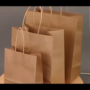 [50pcs] Ready Stock Colorful Paper Bags with Handles/Colorful Paper Bag/Party Bags/Take-away bag/Shopping Bag