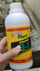 Vitamin B1 Liquinox isi 470 ml - Obat Anti Stress Tanaman