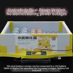 JF Egg Incubator Large capacity dual power water bed incubator