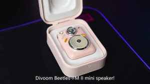 Divoom Beetles-FM II Mini Bluetooth Speaker with FM Radio