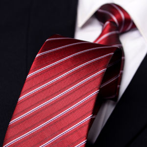 Romguest | Business Formal Patterned Tie For Grooms and Bridal Party College Style