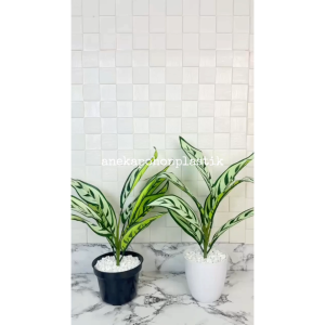 Pohon Hias Artificial Daun Callathea X9 Pot Dasar Hitam & Pot Melamine Putih Hiasan Meja Tamu Meja Kerja