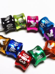 Multi-Color Bird Foot Ring Prize Trophy Ring for Pigeons Private Content Message Ring Pet Bird Supplies Pigeon Accessories