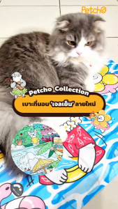 Petcho Cool Mat สัตว์เลี้ยง ที่นอนเจลเย็น เบาะเย็นแมว แผ่นเย็นหมา วัสดุ ฟองน้ำ  เย็นมากขึ้น เท่ากันมากขึ้น นุ่มนวลมากขึ้