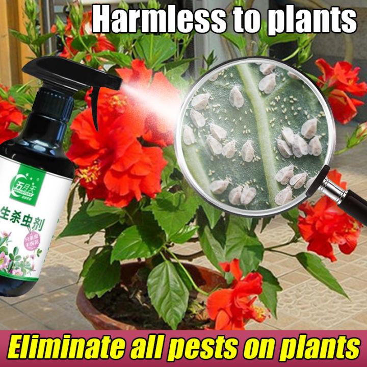 【Kills insects without harming plants】BIUU Insecticide for vegetables
