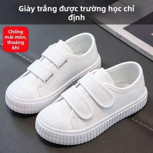 JIFANPAUL | Gymnastics Dancing Performance Canvas Shoes