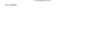 WALNEW Passport Holder Neck Pouch Travel Wallet for Women and Men RFID Blocking Security Slim Traveling Wallet with Around Neck Lanyard Strap