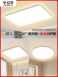 Bull Full Spectrum Living Room Ceiling Light Modern Simple Home Lighting New 2025 Whole House New Model Rectangular LED Lampshade