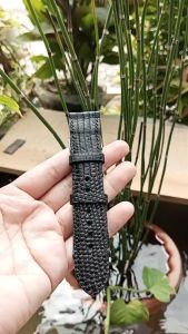 Tali Jam Tangan Kulit Asli Biawak warna Hitam UK 20mm Garansi 1 Tahun