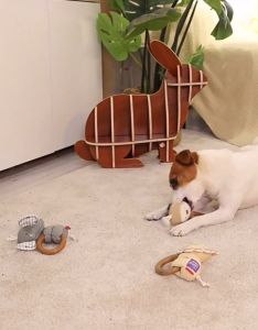 GiGwi Suppa Puppa - Cute Plush Dog Toy with Wooden Ring (squeaker)