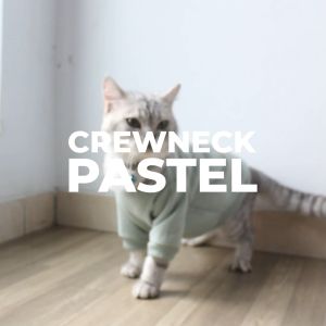 Baju Kucing Cewek Cowok Lucu Murah Gratis Ongkir Murah 5 ribu - Buki Crewneck Pastel