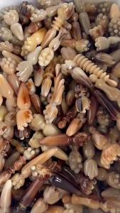 Sừng Và Hoa Sen Massage Mặt Và Mắt Massage Mặt Và Mắt Yak Trắng Chạm Khắc Thủ Công Massage Mặt Và Đầu