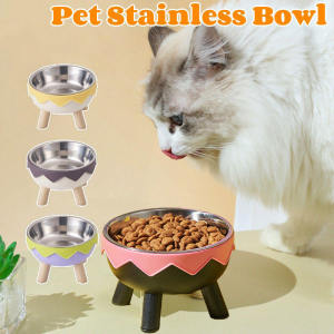 Stainless Steel Dog Bowl & Removable Pet Bowl: A Comprehensive Guide