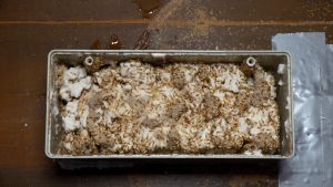 เหยื่อกำจัดปลวก Exo termite bait รุ่น 180 กรัมพร้อมกล่องสถานีและอุปกรณ์เพื่อยึดกล่อง