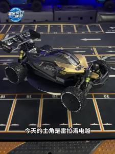 RLAARLO | Professional High-Speed 4WD RC Racing Car