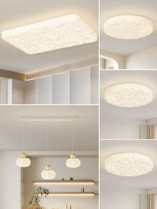 MR.LAMP | Eye-Care Full Spectrum Modern Simple Ceiling Light