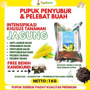 Pupuk Jagung Terbaik / Pupuk Jagung Manis / Pupuk Buah Jagung / Pupuk Khusus Jagung / Pupuk Pembesar Buah Jagung / Pupuk Penyubur Daun Dan Buah Jagung