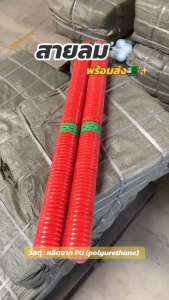 BKK Tools สายลม PU สายลมสปริง พร้อมคอปเปอร์ ขนาด 8*5 10*6.5 12*8mm. ยาว 15m. Air pump cable สายปั้มลม ใช้งานกับปั้มลม