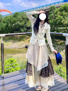 Retro High Waist Half Skirt Womens New Style Embroidered Lace Puffy Skirt Autumn Design Sweet Style A-Line Long Skirt