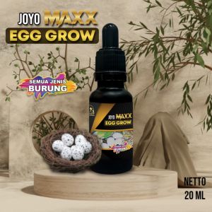 VITAMIN UNTUK MENINGKATKAN PRODUKSI TELUR | JOYO MAXX EGG GROW 20 ML