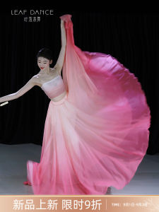 Elegant Gradient Classical Dance Skirt Flowing Long Dress Training Uniform for Women Online Exclusive Brand Ye Luo Qing Wu