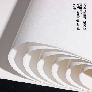 Beginners Guide to Sheng Xuan Paper for Traditional Chinese Painting and Calligraphy Medium Maturity 4 Open 8 Open Art Supplies