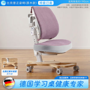 Adjustable Study Chair for Kids Students