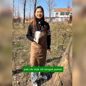 CEO 🇲🇾 Racun Tabur Pokok Rumput Cepat Mati Weed Control Land Reclamation Hoe Killer Trees Hexazinone Herbicide Fast Dead