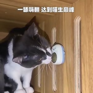 New Design Cat  Spinning Catnip Ball /Digestion Molar Cleaning/ Therapy Balls Interactive Toy [local stocks]