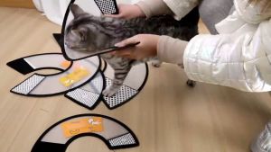 Pet Collar Cone E-Collar Dog Cat Elizabeth Protection Collar Pet Postoperative Anti Bite Head Cover