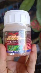 ไพลาโคลสโตรบิน สารป้องกันกำจัดโรคพืช  ป้องกันกำจัดโรคใบจุดสีน้ำตาล โรคราหนวดแมวในพริก ใช้ได้ในพืชผัก พริก มะเขือ แตงกวา ขนาด 100 ซีซี ป้องกันโรคราหนวดแมว ป้องกันโรคราหนวดแมวในพริก - Lazada