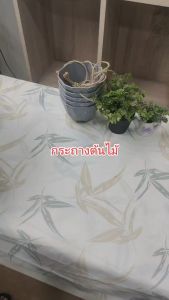 กระถางต้นไม้วินเทจขนาด M จาก Meeda Garden