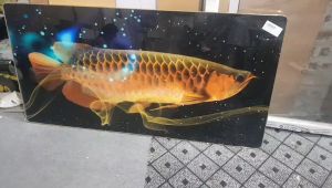 Tranh tráng gương-tranh treo tường cửu ngư quần hội trang trí phòng khách