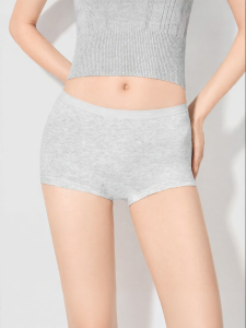 Secret World | Antibacterial Seamless Cotton Briefs