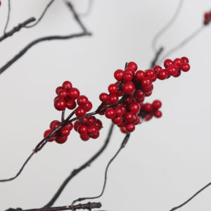 Trái Cây May Mắn Giả Quả Lê Đỏ Trang Trí Hoa Giả Theo Phong Cách Trung Cổ Thiết Kế Hình Dạng Tùy Chỉnh Trang Trí Nhà Trong Nhà