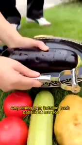 3Pcs/Set Stainless Steel Potato Cucumber Julienne Peeler Carrot Grater Feather Clip Fruit Peeler