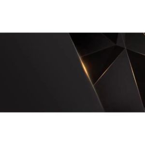 V2S S1000 V5.0 12 Hour Stang Time Wireless Super Bass Stereo Headphone with Leather Bag