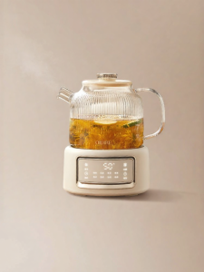 Multi-functional Electric Kettle
