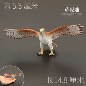 Realistic Childrens Animal Model Toys Prairie Eagle Fiercereap Bird Early Education Cognitive Gifts Solid Animal Toy Dolls