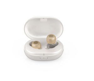 Good Prices Rechargeable Portable Mini Sound Amplifier ITE Hearing Aid For The Deaf