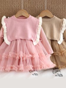 Little Girl Princess Dress Girl Dress Spring and Autumn Clothing Baby Dress for One Year Old One-Year-Old Baby Skirt Childrens Gauze Dress