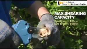 Dong Cheng DCYD25 20V MAX Cordless Brushless Electric Pruner Scissors Bateri Pemotong Dahan Pokok